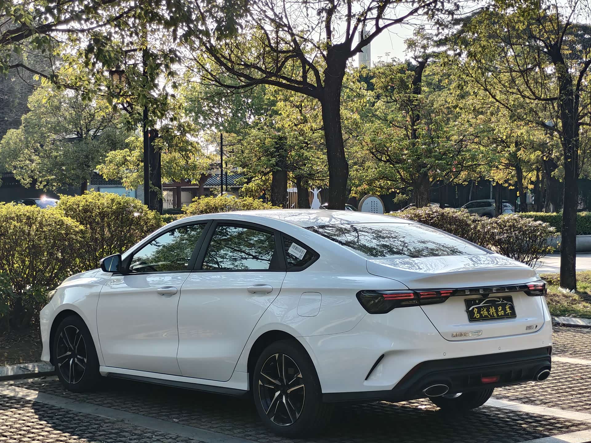 Geely Binray, 2024 21