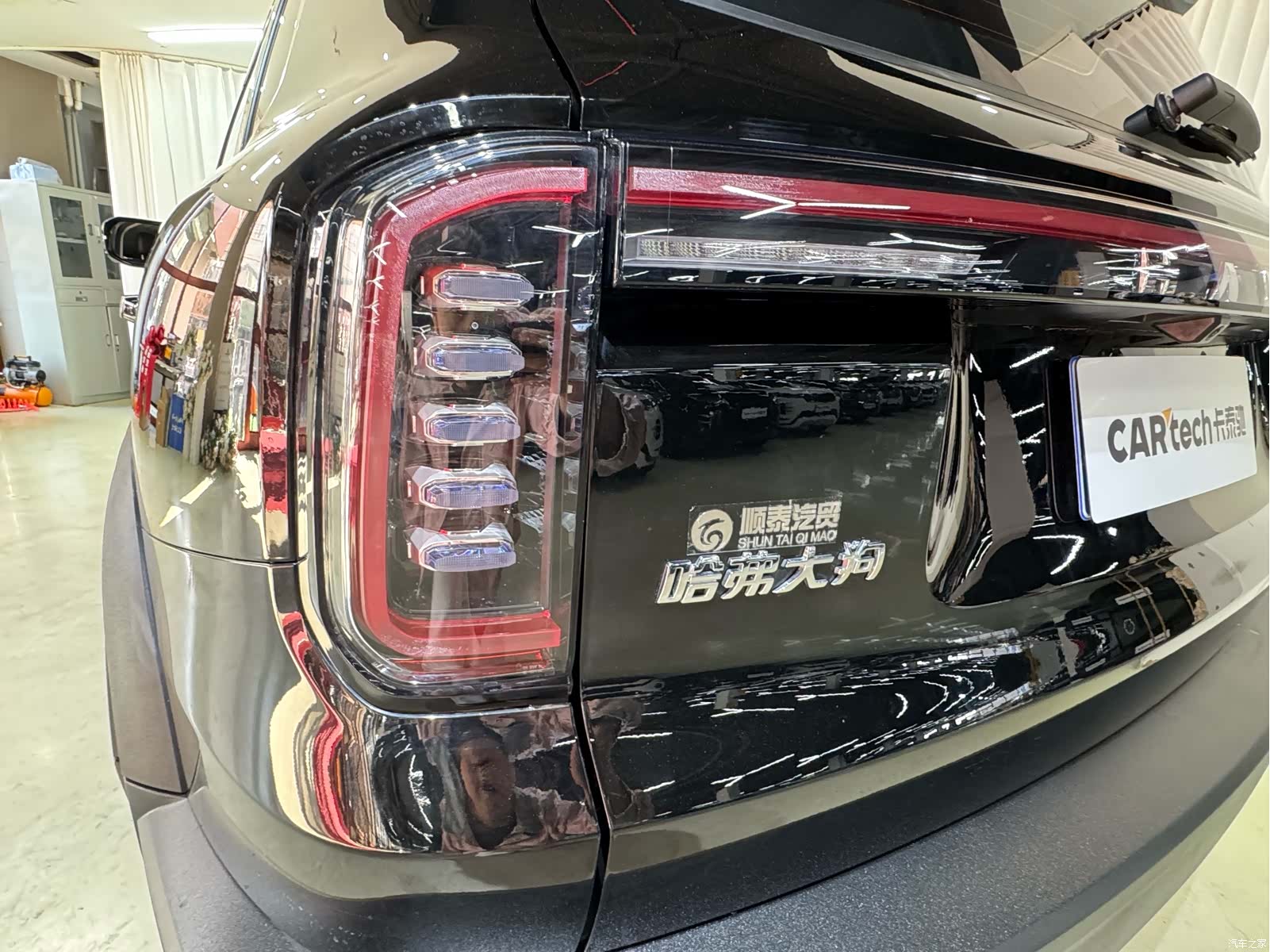 Haval Big Dog, 2024 24