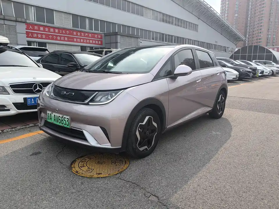 BYD dolphin