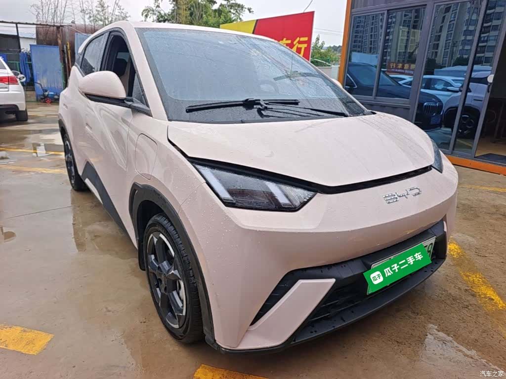 BYD Seagull, 2023 4