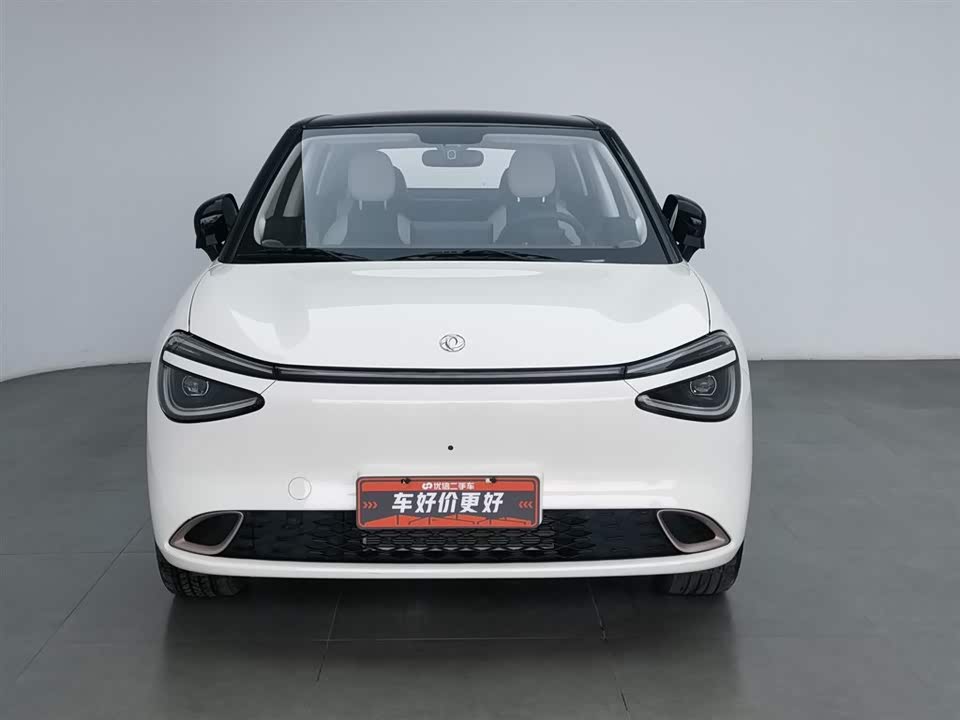 Dongfeng Nammi Nano 01