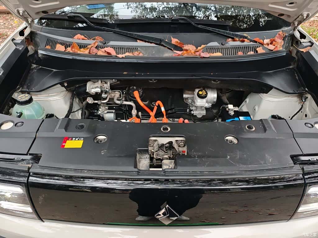 Wuling Yep, 2024 11