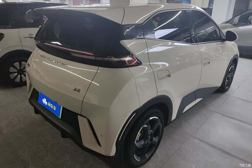BYD Seagull, 2024 3