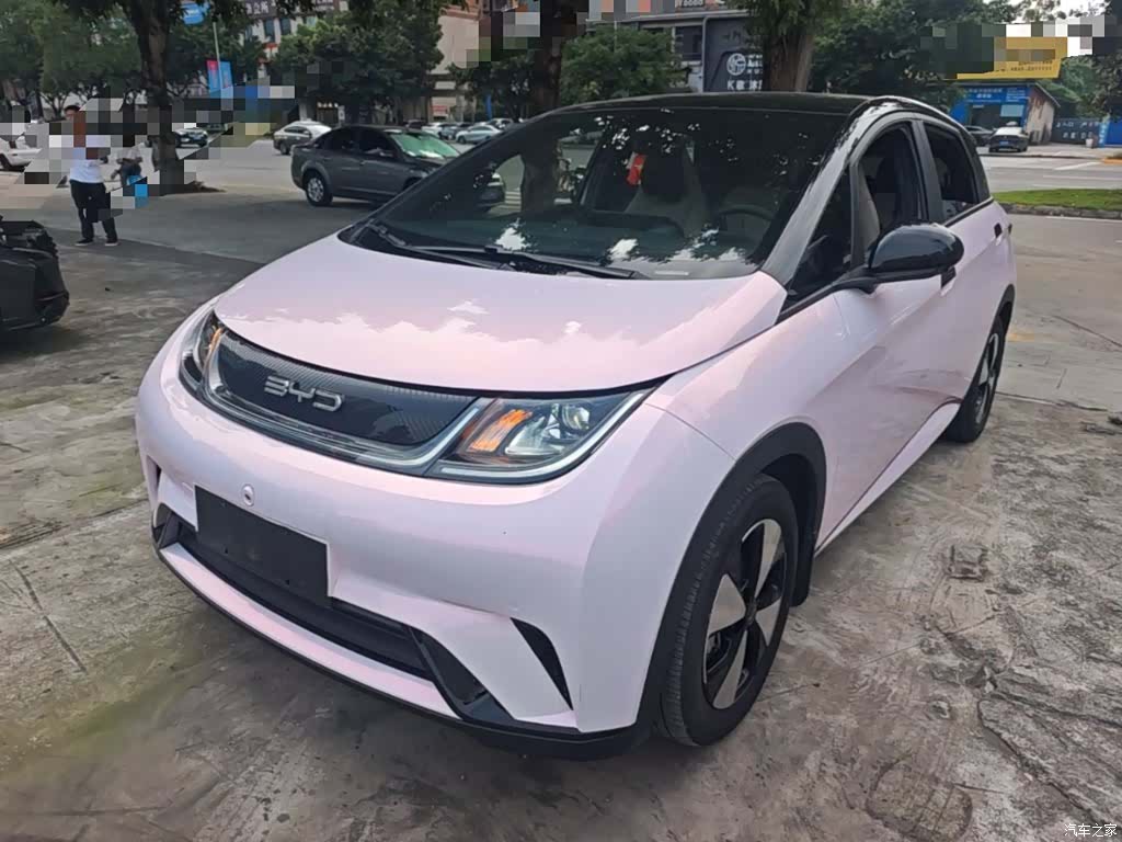 BYD Dolphin, 2023 1