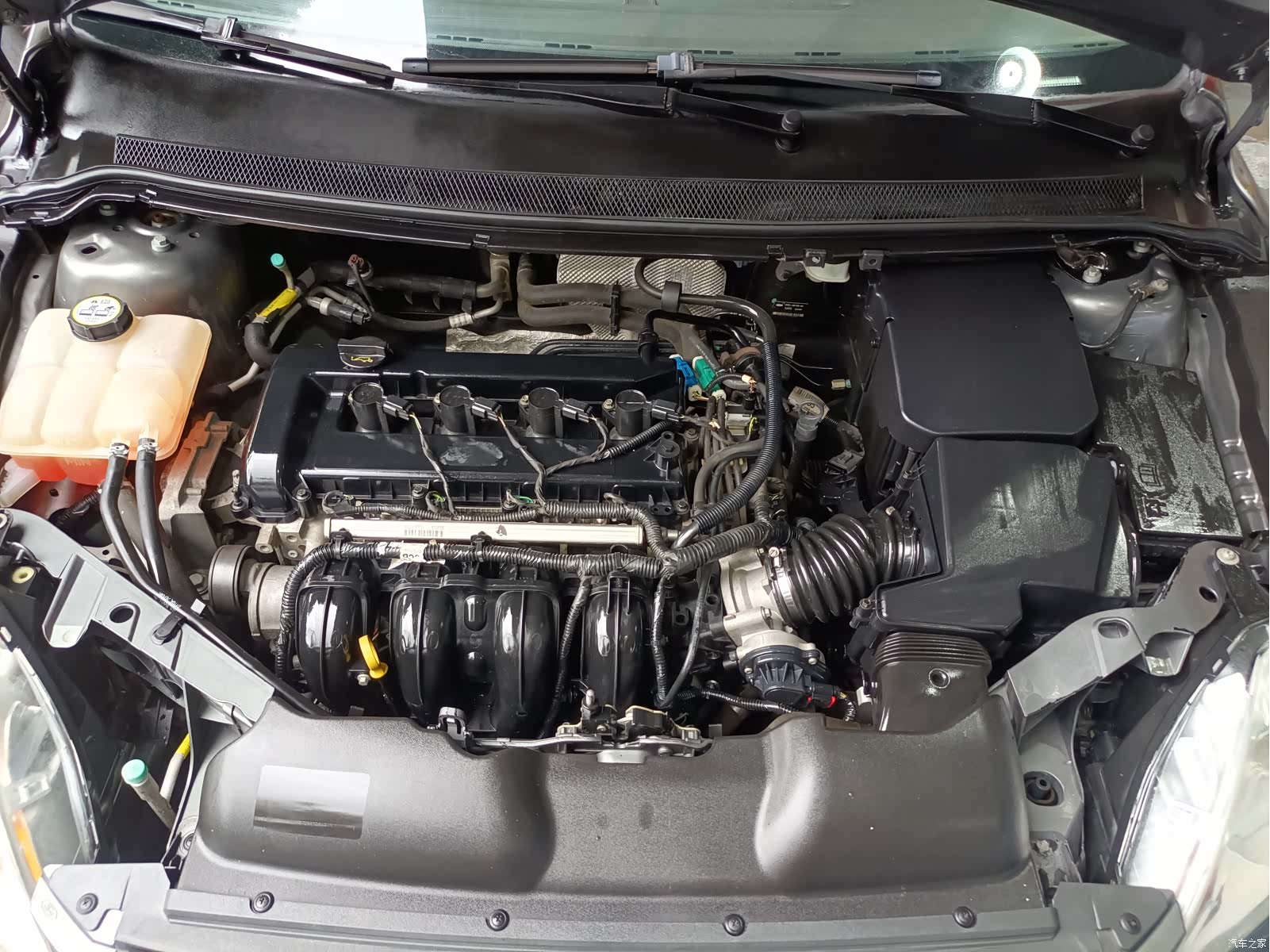 Ford Focus, 2013 14