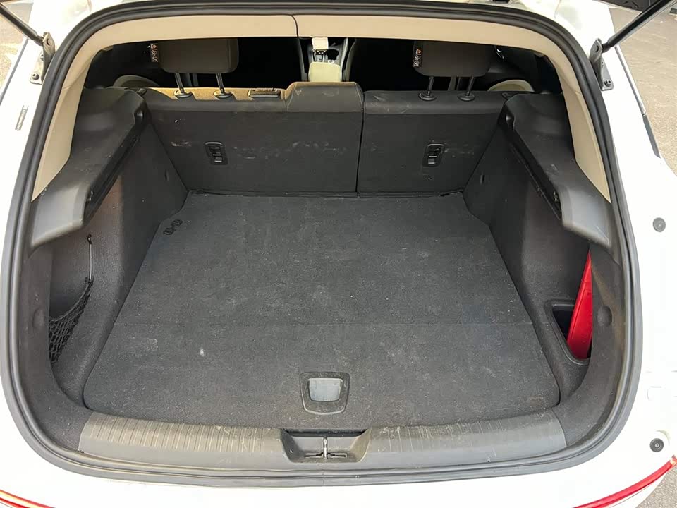 Buick Slightly blue 6