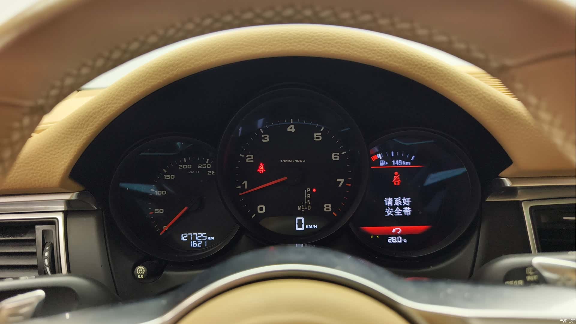 Macan Macan, 2015 11