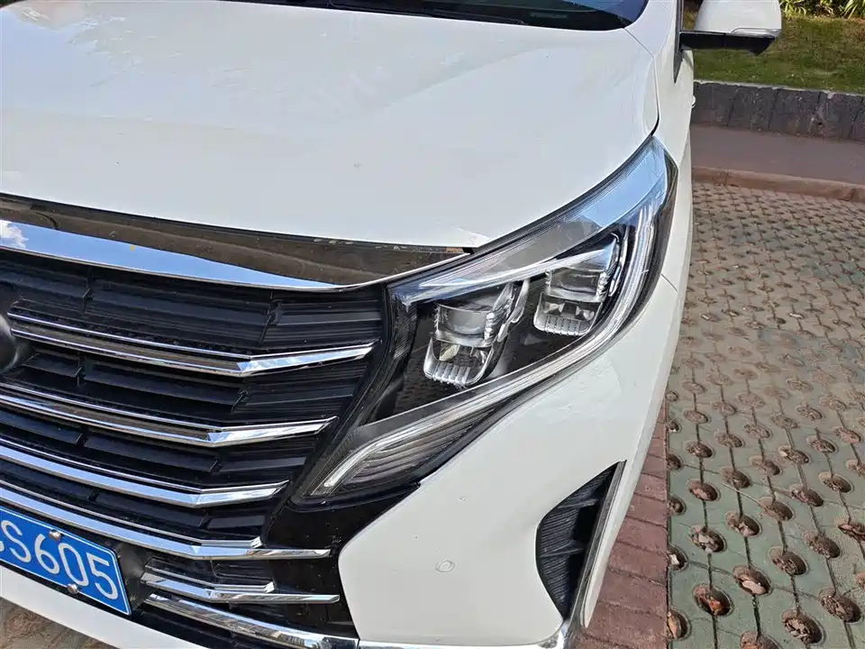 Trumpchi Trumpchi M8