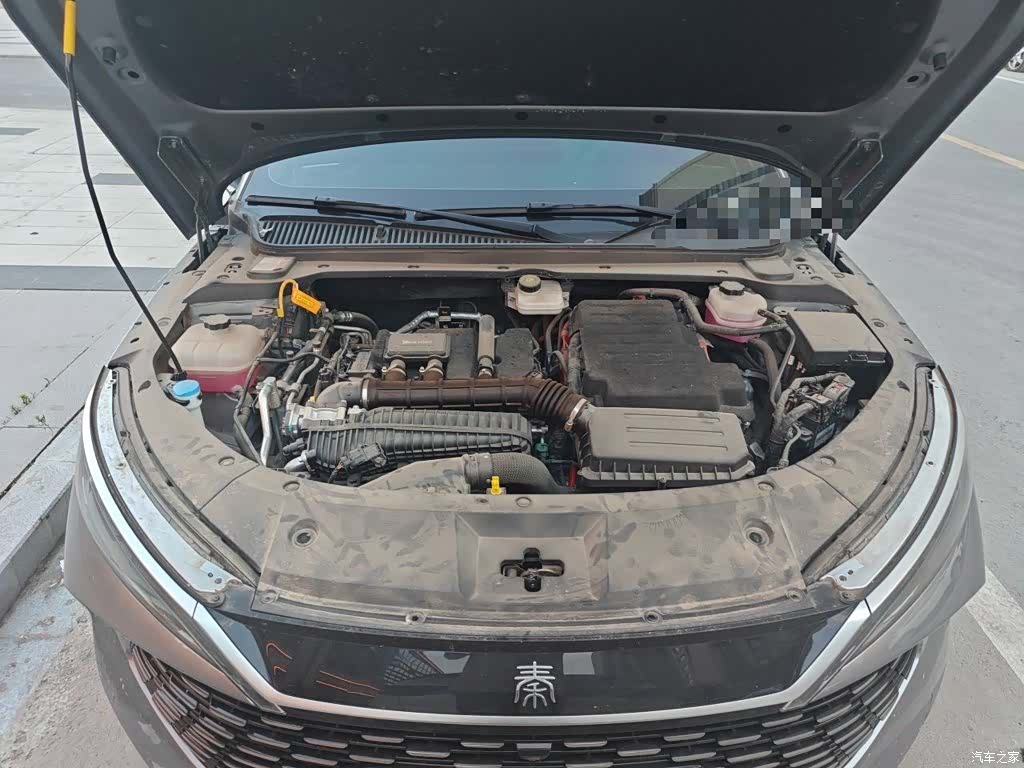 BYD Qin, 2025 17