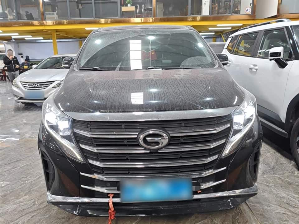 Trumpchi Trumpchi M8
