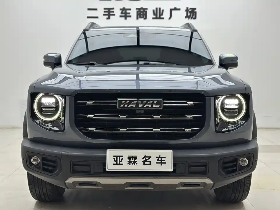 Haval Big dog