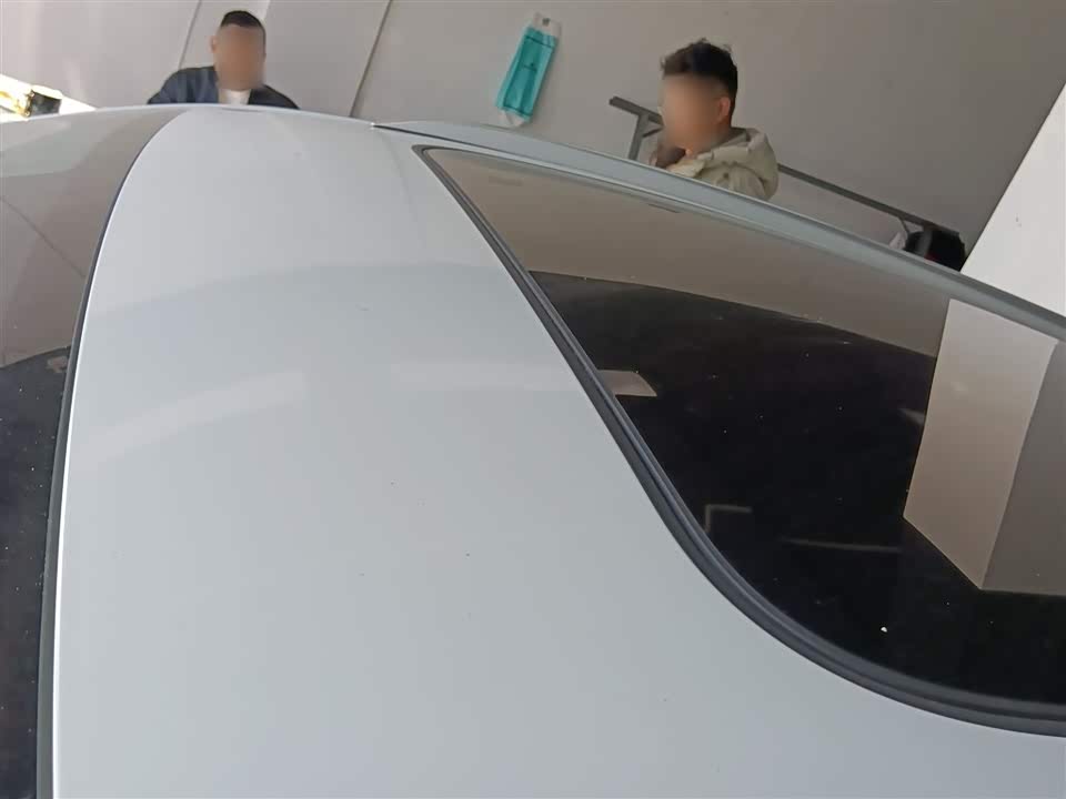 Volkswagen C-TREK Wei Collar