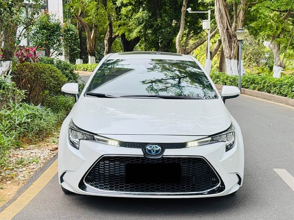 Toyota Lei Ling