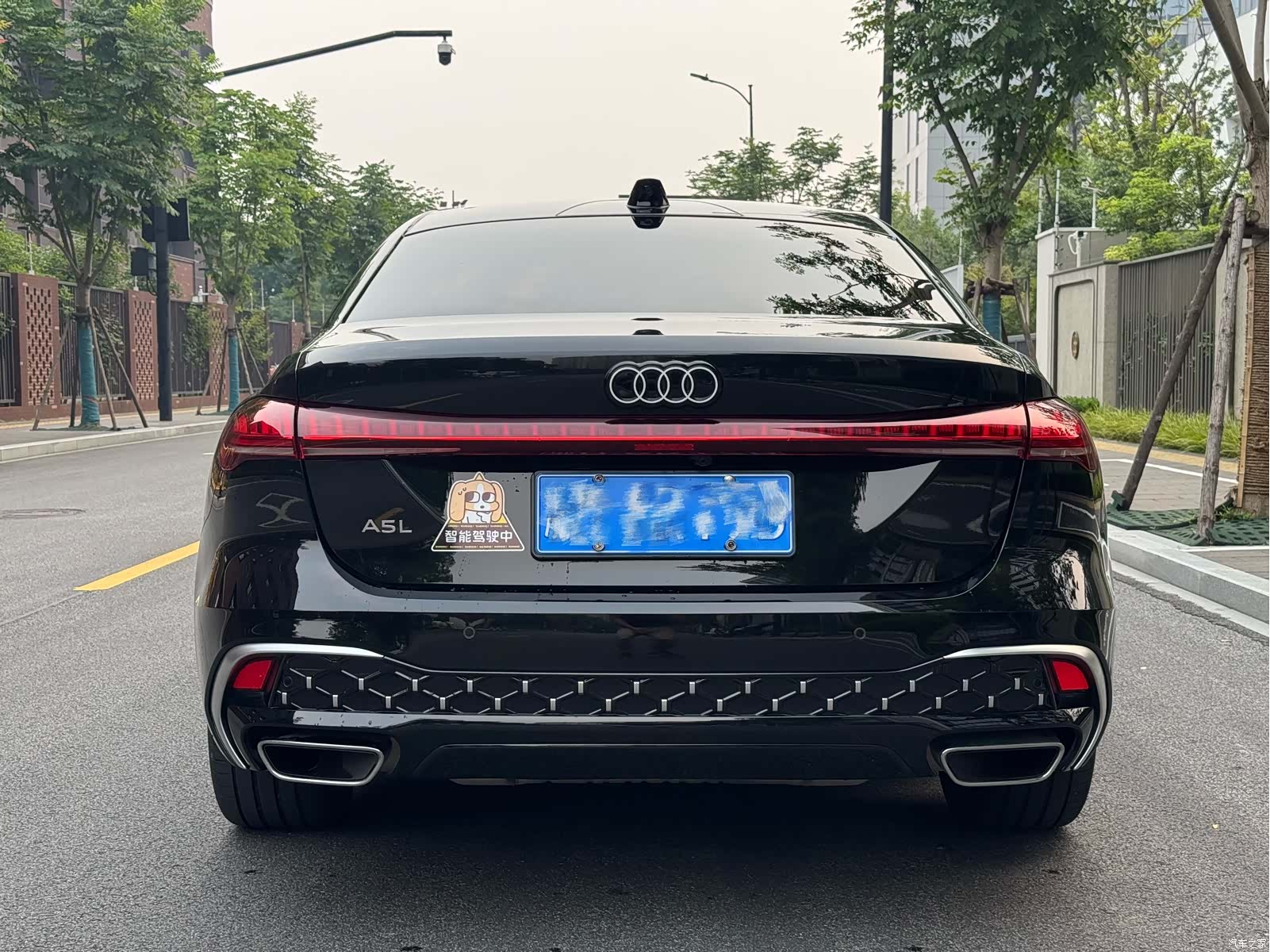 Audi A5, 2026 7