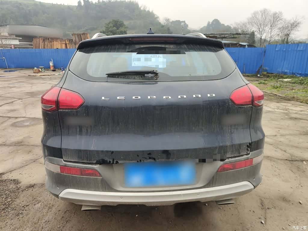 Liebao CS10, 2017 20