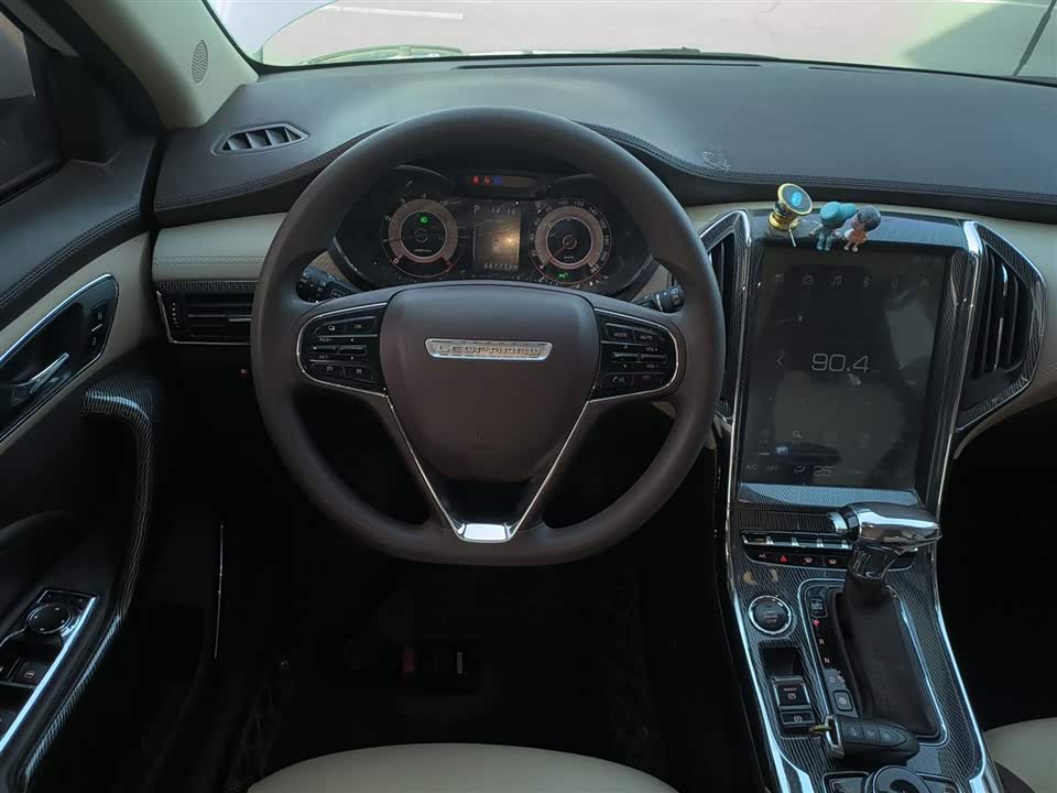 Leopaard Cheetah CS9