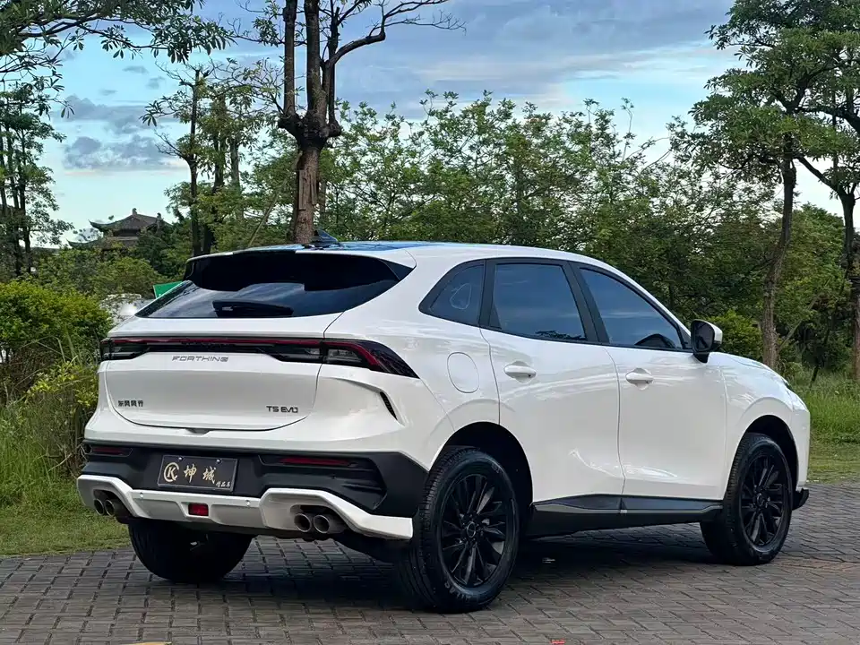 Forthing Popular T5 EVO