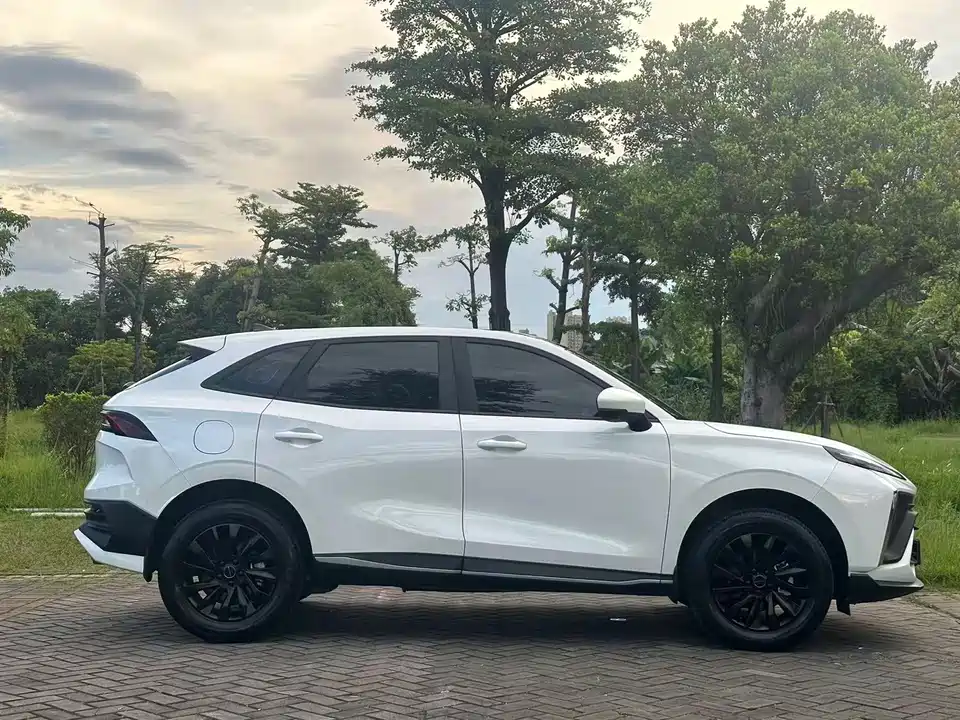 Forthing Popular T5 EVO