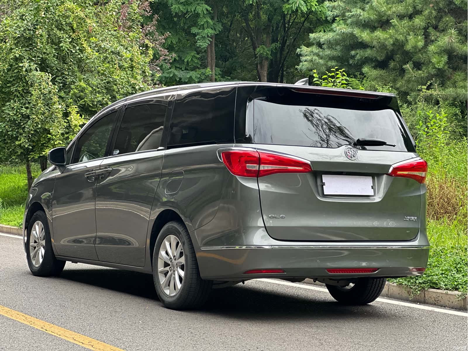 Buick GL8, 2019 4