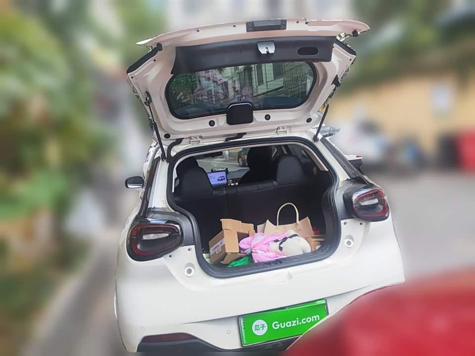 Dongfeng Nammi Nano 01