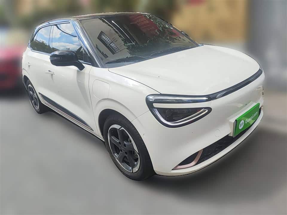 Dongfeng Nammi Nano 01