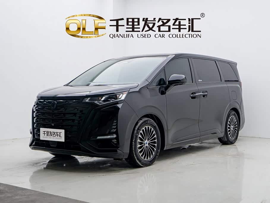 Denza D9