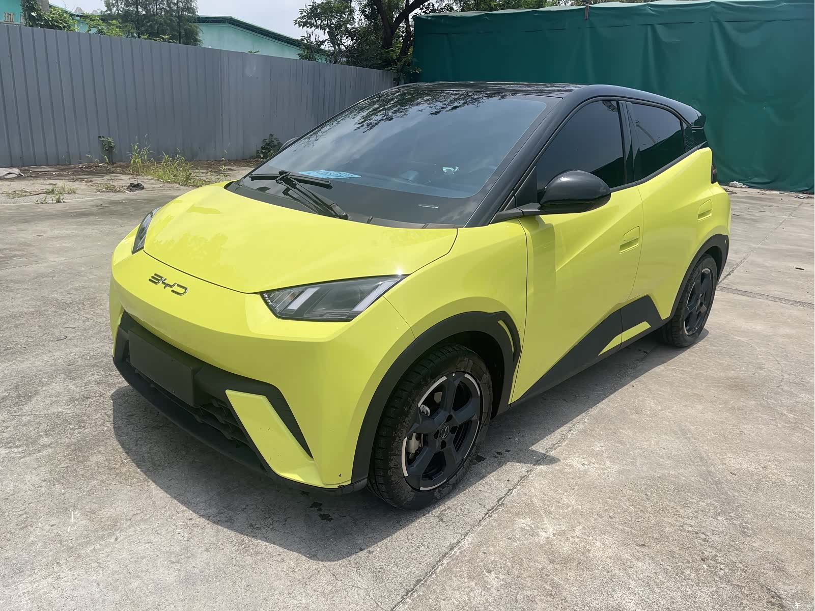 BYD Seagull, 2024 1