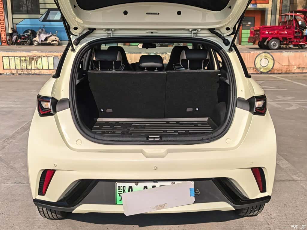 BYD Dolphin, 2024 16