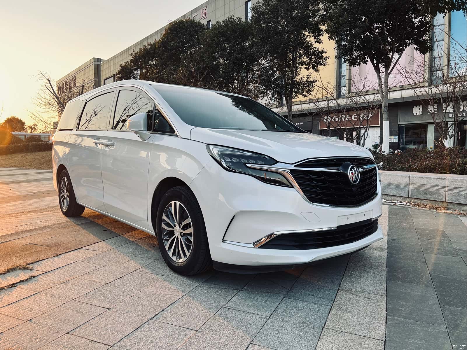 Buick GL8, 2020 4