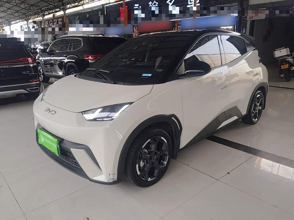 BYD Seagull