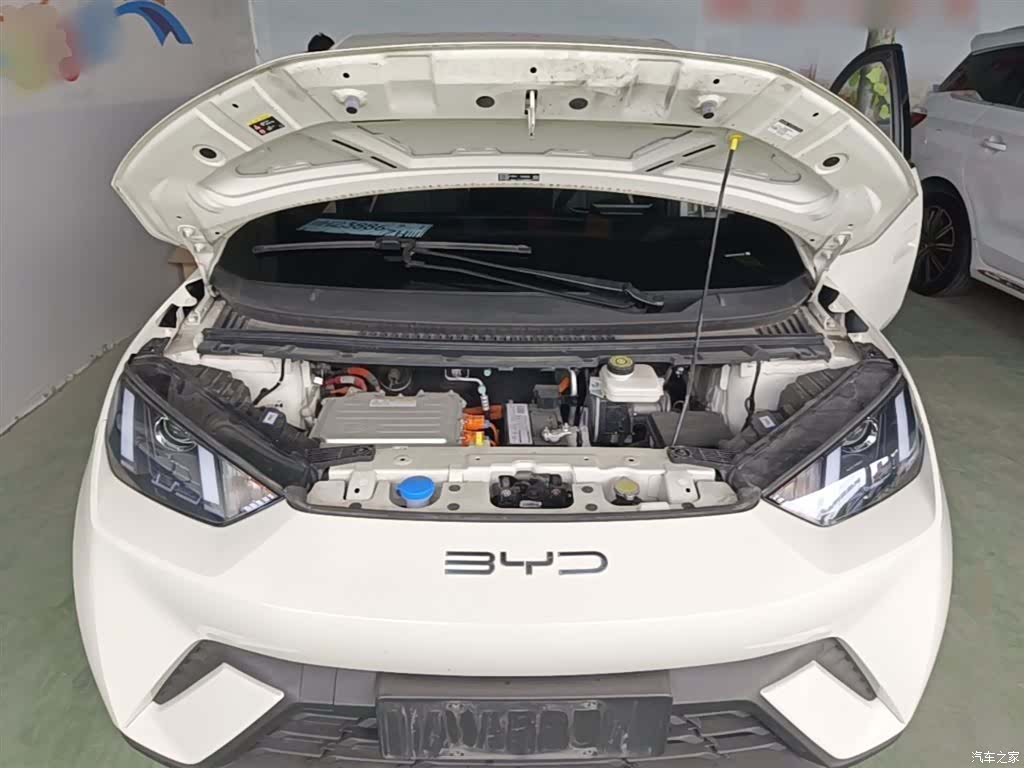 BYD Seagull, 2023 20