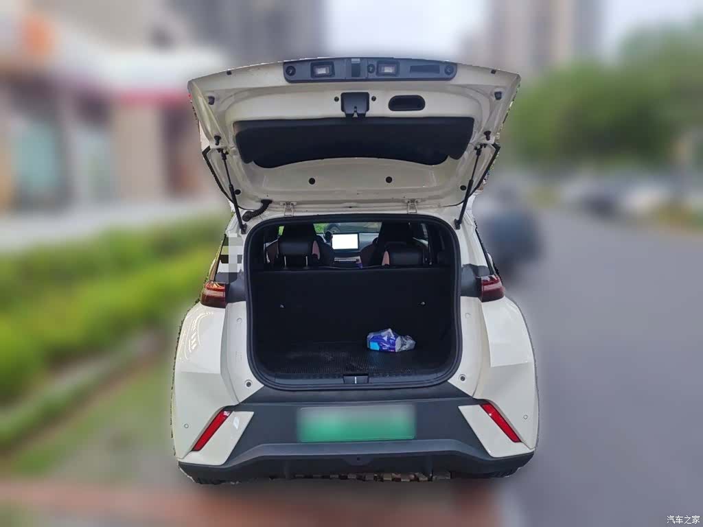 BYD Seagull, 2025 10