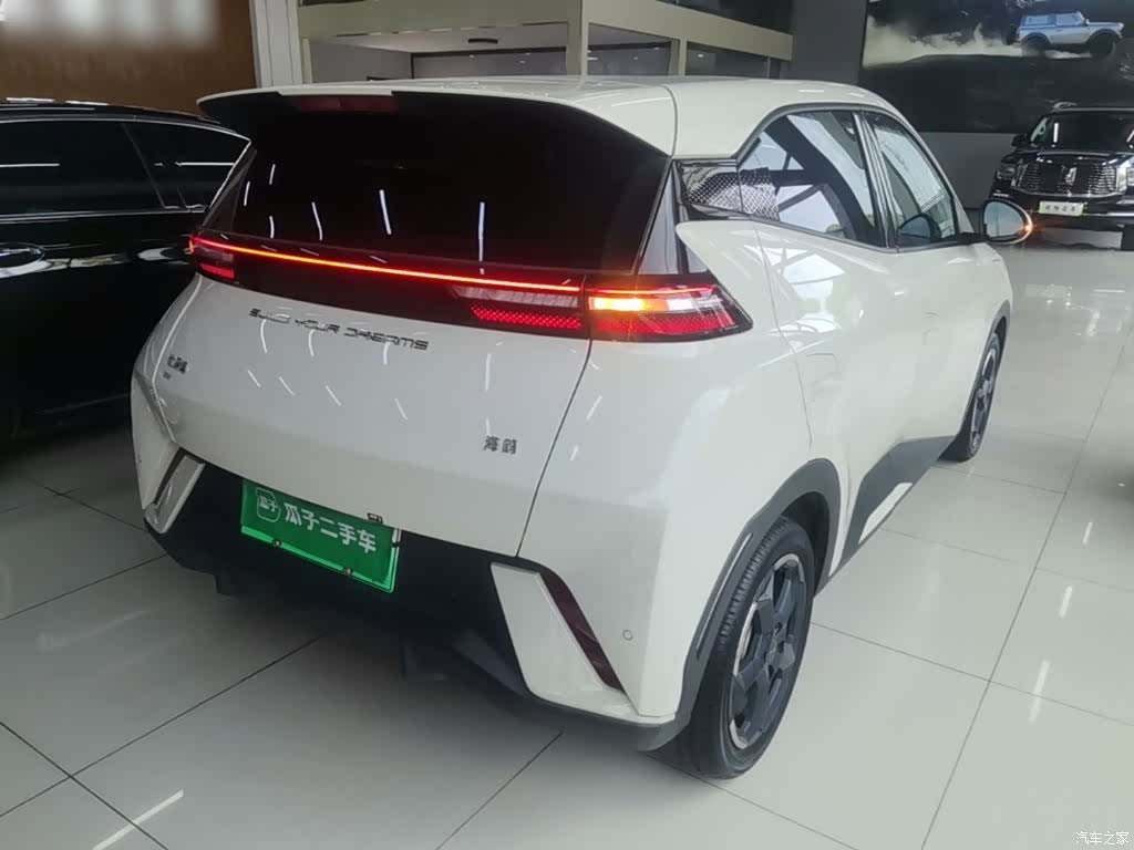 BYD Seagull, 2024 7