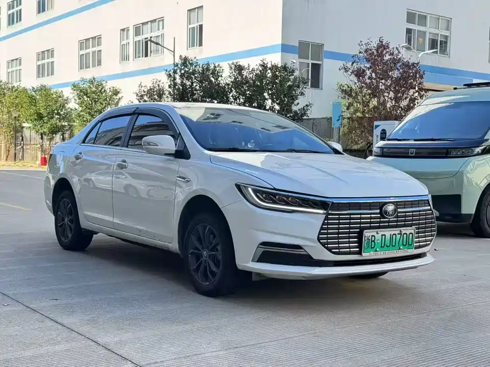 BYD Qinxin Energy