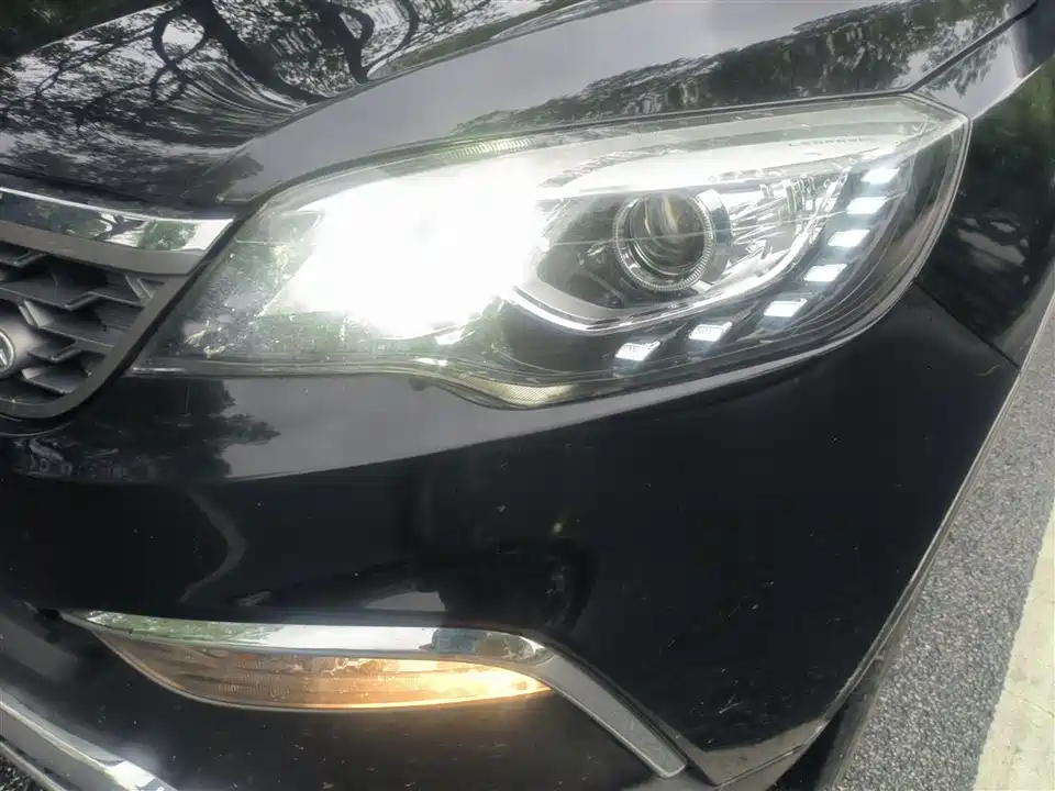 Leopaard Cheetah CS10