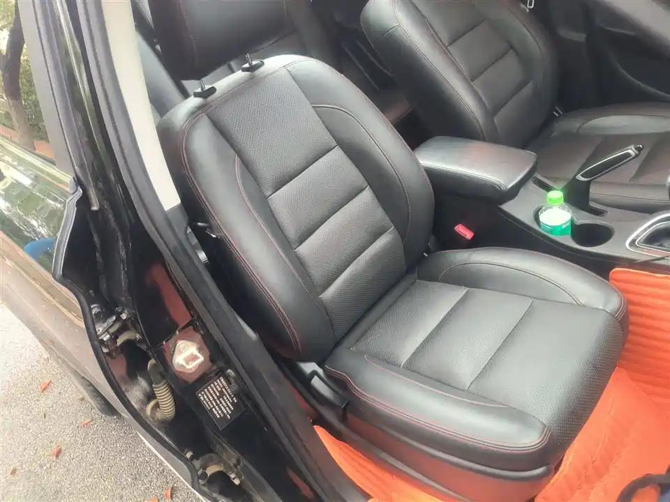 Leopaard Cheetah CS10