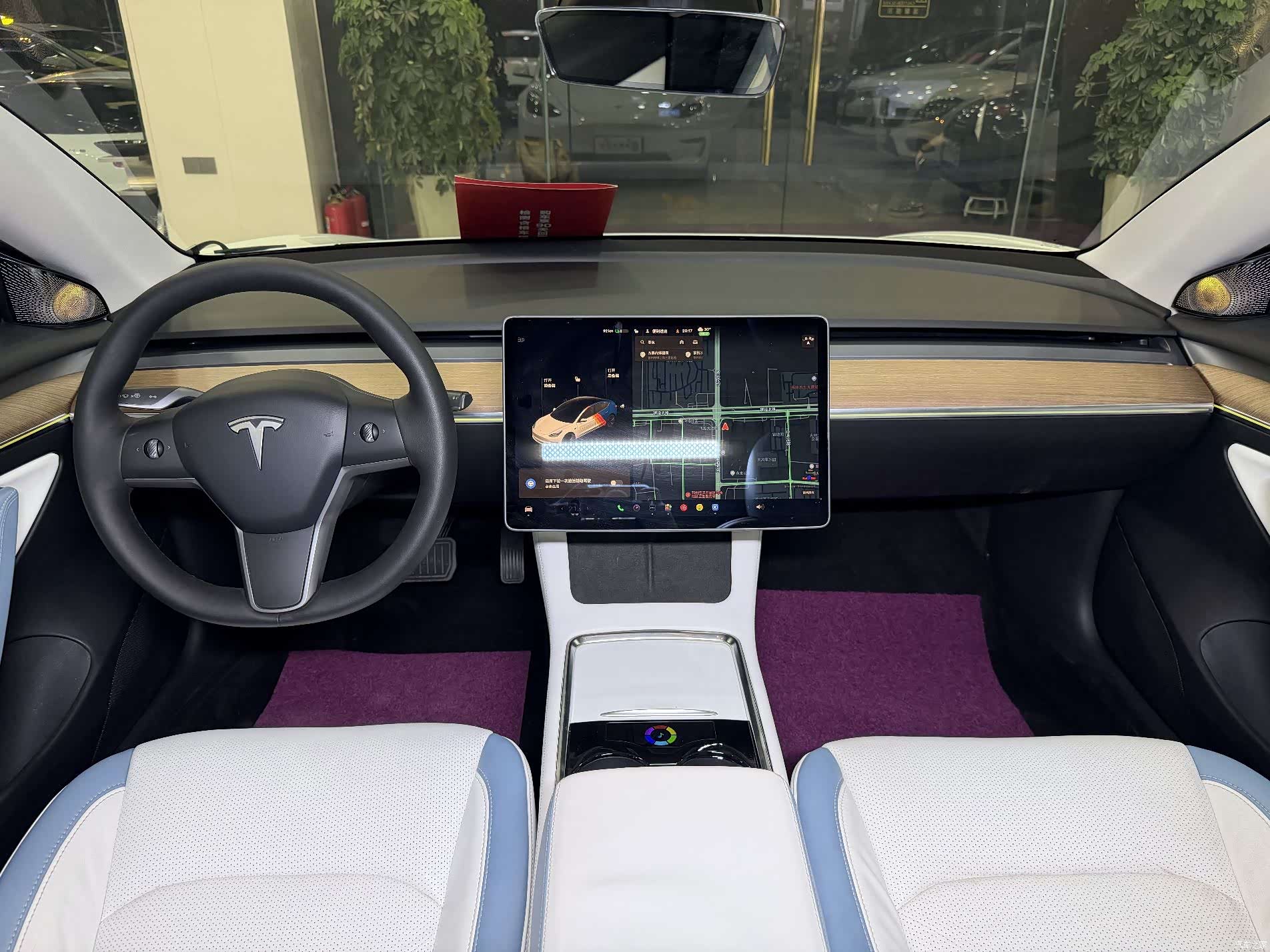 Tesla Model 3, 2021 12