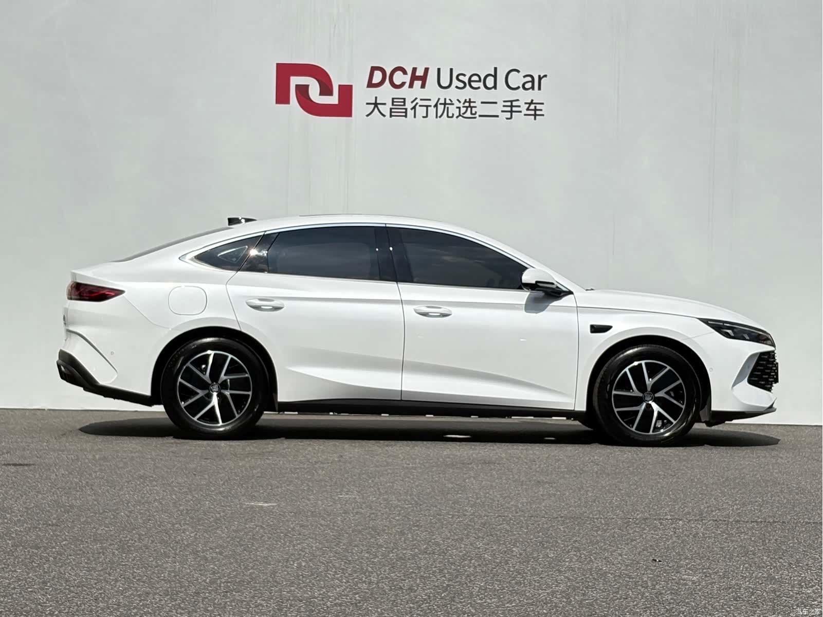 BYD Qin, 2025 все фото
