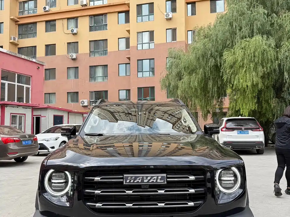 Haval Big dog