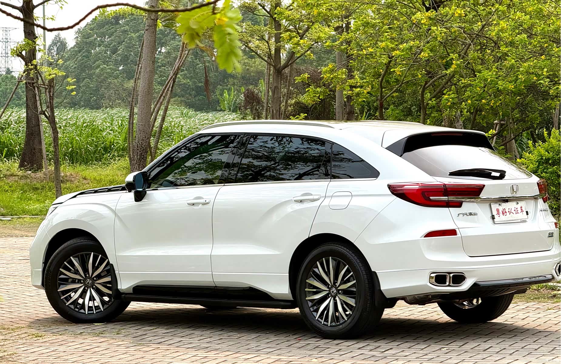 Honda Avancier, 2023 6