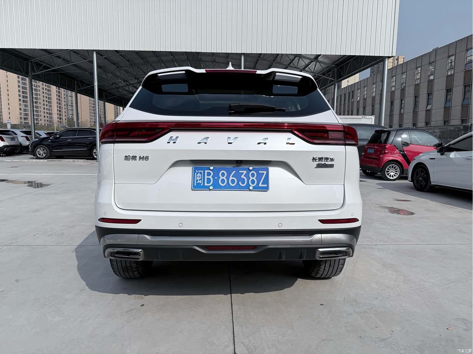 Haval H6, 2023 все фото
