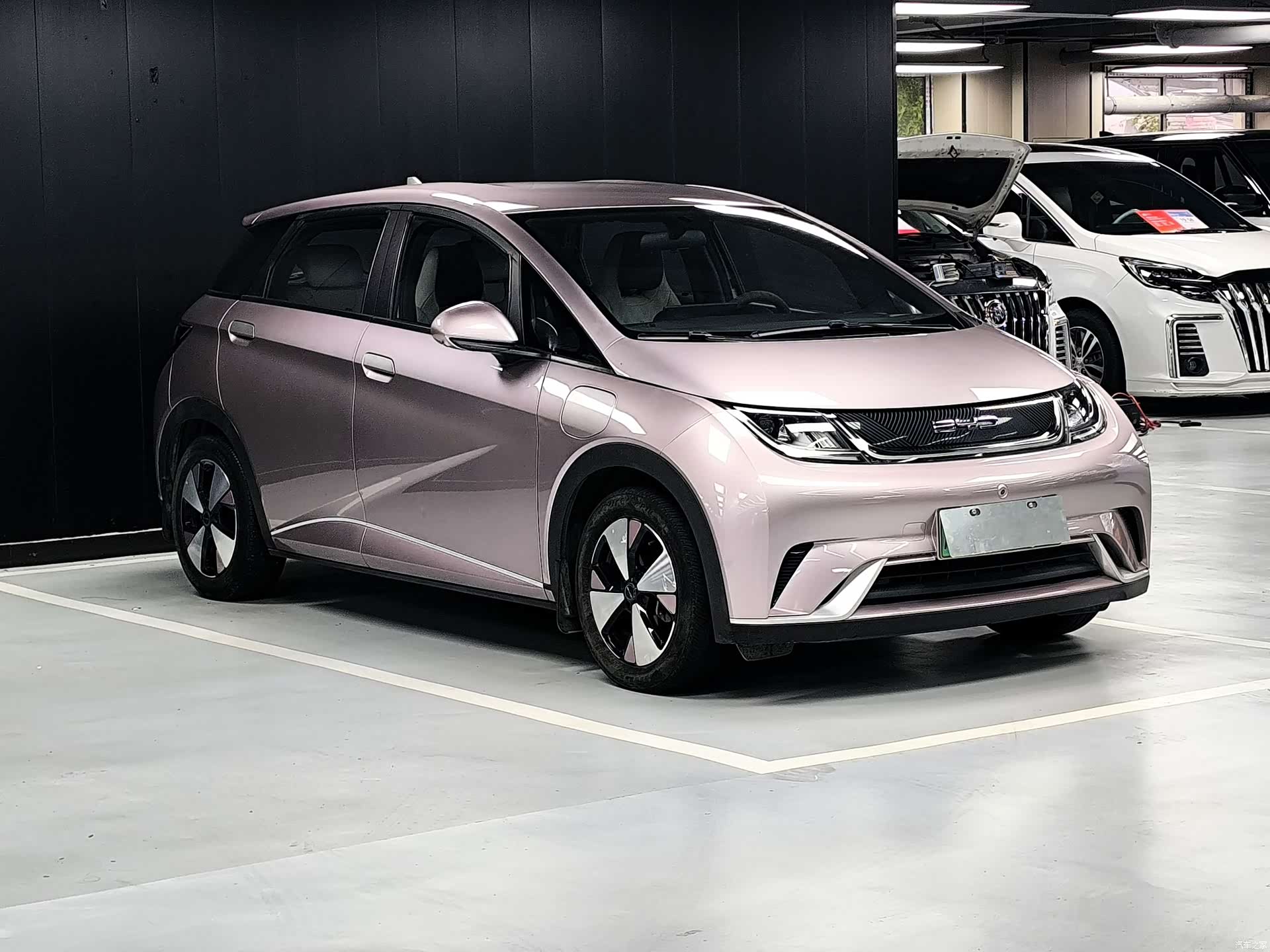 BYD Dolphin, 2023 3
