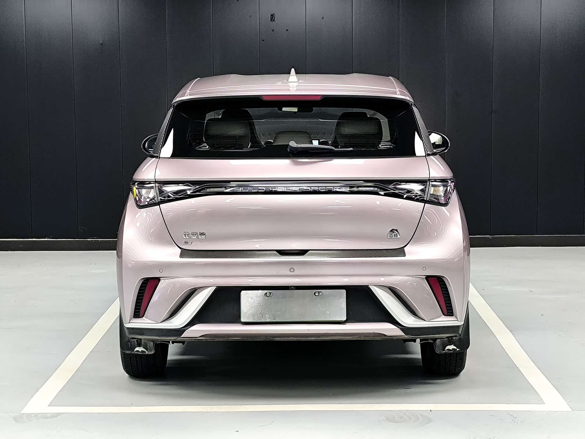 BYD Dolphin, 2023 17