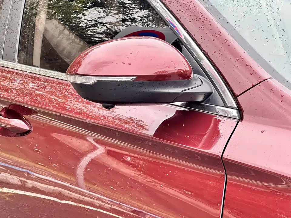 Leopaard Cheetah CS10