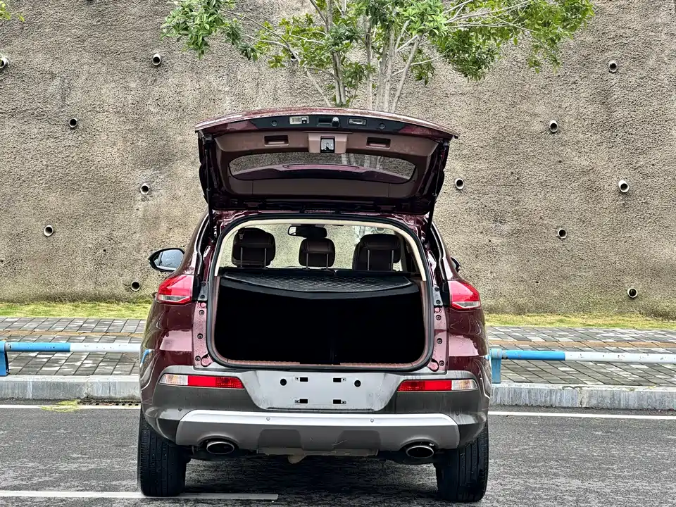 Leopaard Cheetah CS10