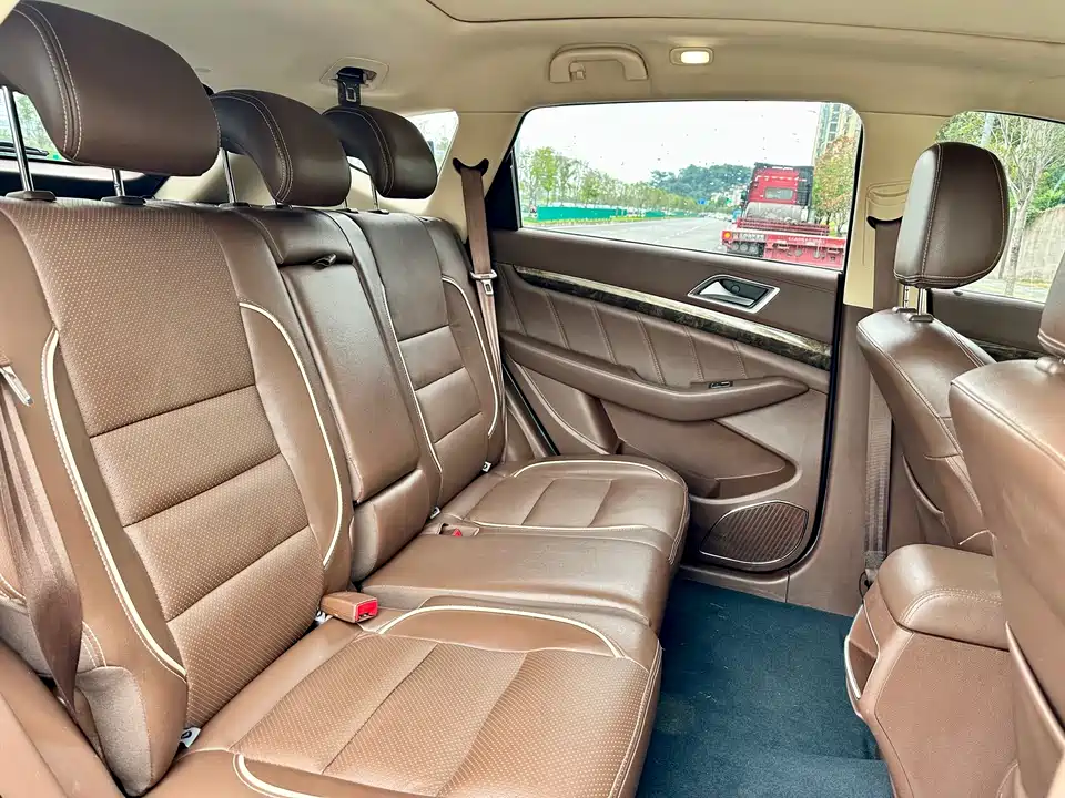 Leopaard Cheetah CS10