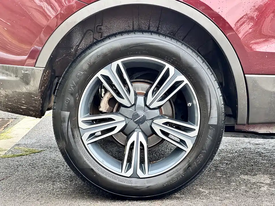 Leopaard Cheetah CS10