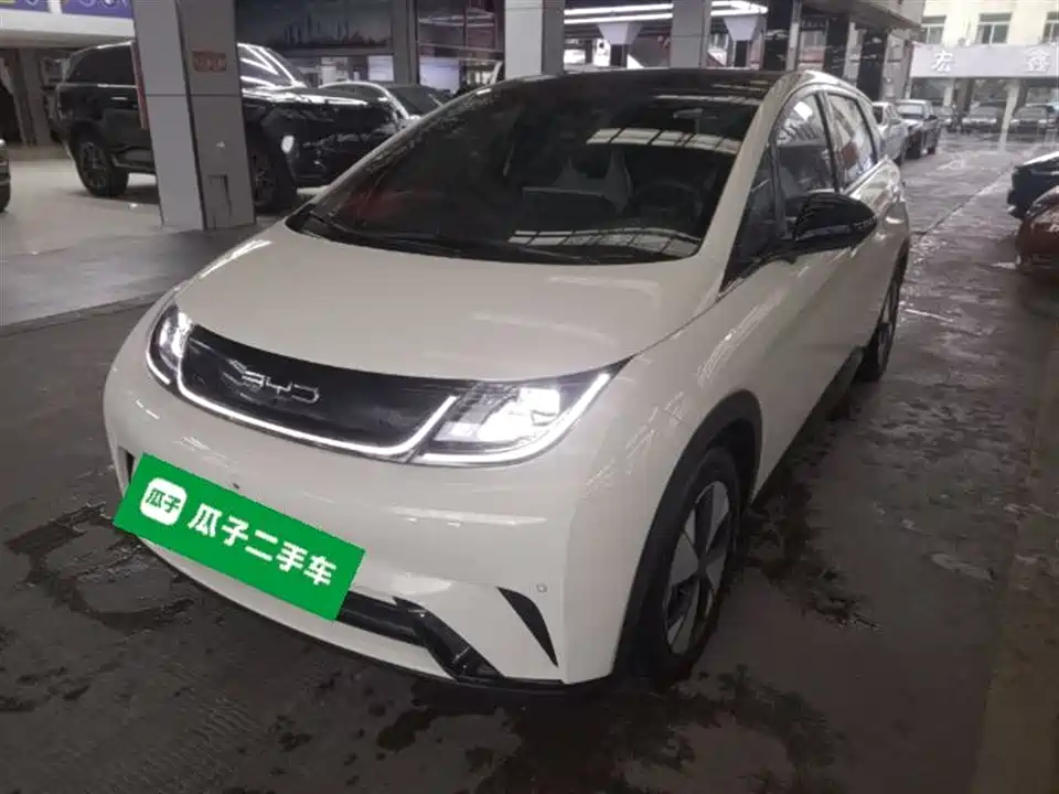 BYD dolphin