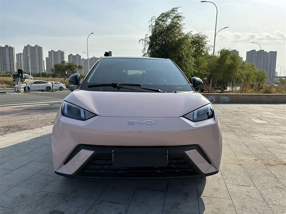 BYD Seagull BYD Seagull