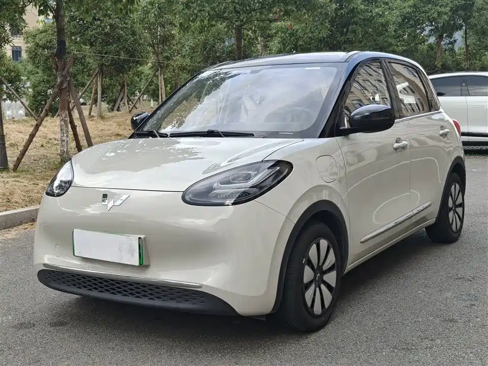 Wuling Wuling Bingguo